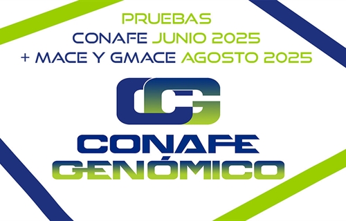 Nuevas pruebas CONAFE Junio 2025 + MACE y GMACE Agosto 2025