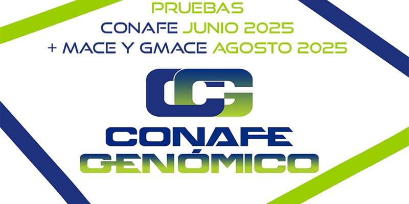 Nuevas pruebas CONAFE Junio 2025 + MACE y GMACE Agosto 2025