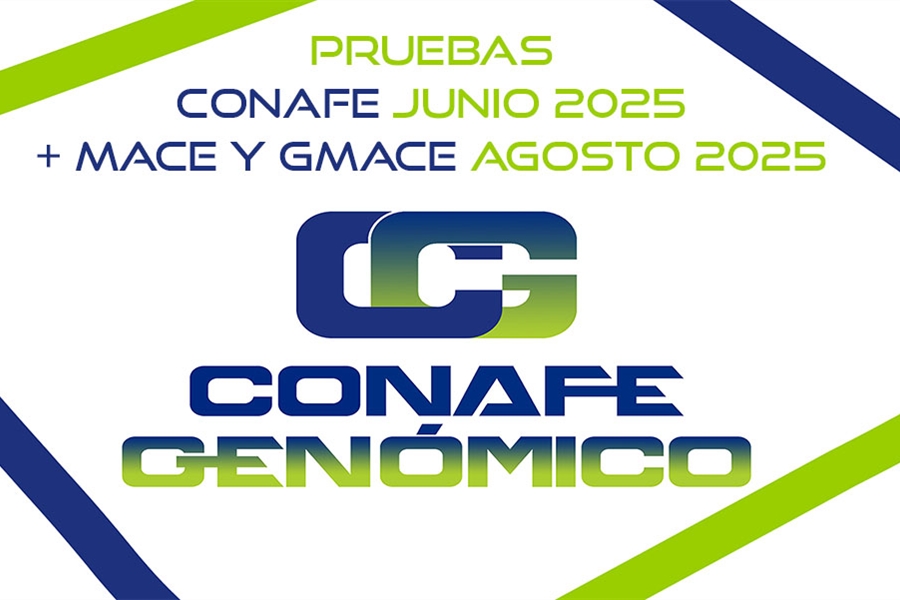 Nuevas pruebas CONAFE Junio 2025 + MACE y GMACE Agosto 2025