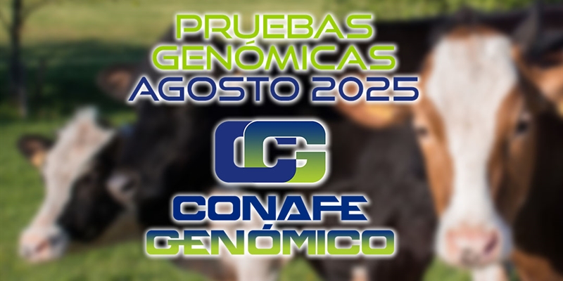 Actualizacin de las pruebas genmicas de Hembras CONAFE agosto 2025