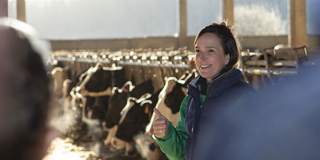 Vet Vision AI, la inteligencia artificial aplicada a la mejora de la...