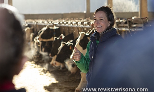 Vet Vision AI, la inteligencia artificial aplicada a la mejora de la...