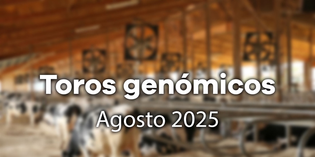 Nuevos toros gen�micos con Prueba Oficial: Evaluaci�n gen�mica Agosto 2025