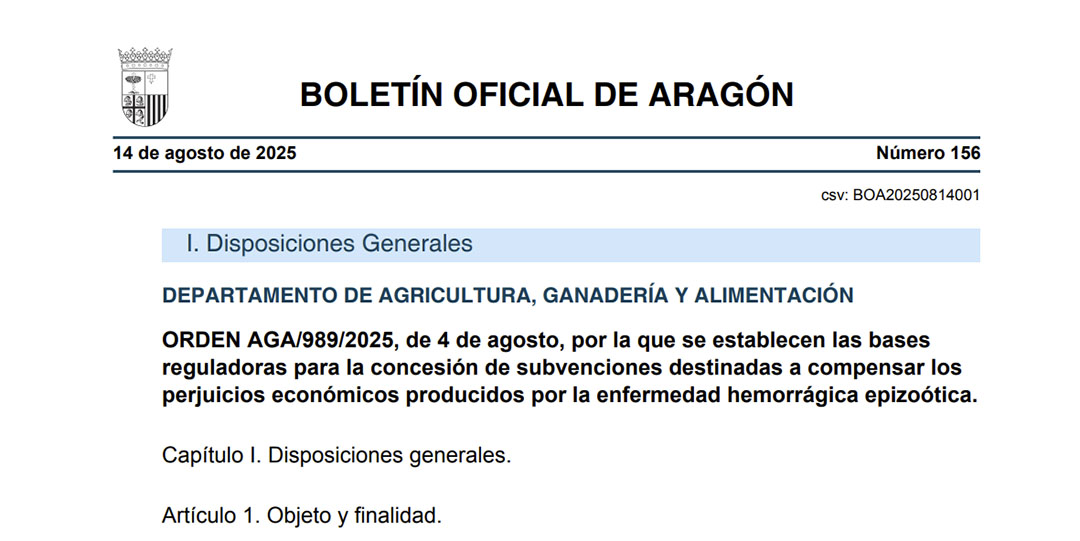 Aragn aprueba ayudas a ganaderas de vacuno para compensar las...