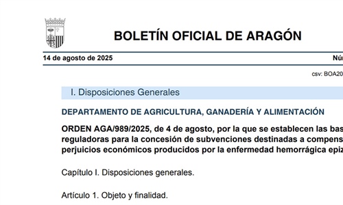 Aragn aprueba ayudas a ganaderas de vacuno para compensar las...