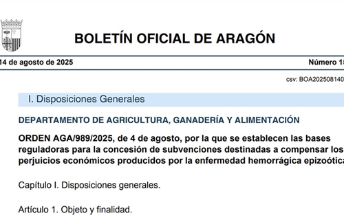 Arag�n aprueba ayudas a ganader�as de vacuno para compensar las...