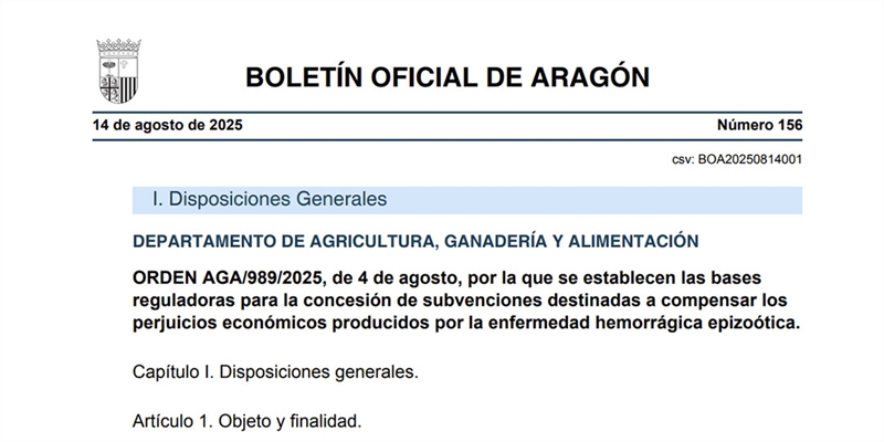 Aragn aprueba ayudas a ganaderas de vacuno para compensar las prdidas por la enfermedad hemorrgica epizotica