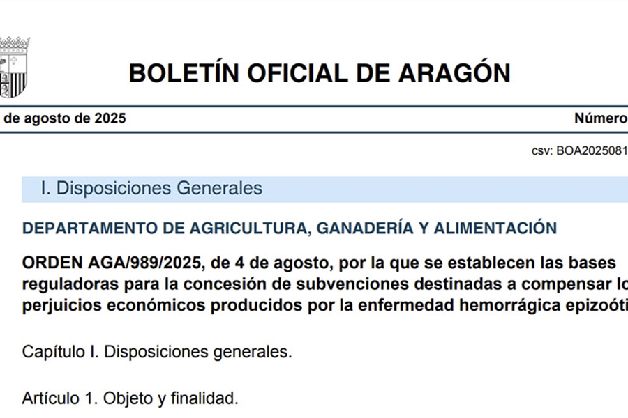 Aragn aprueba ayudas a ganaderas de vacuno para compensar las...