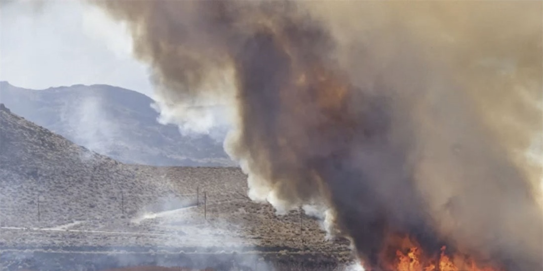 Asaja asegura que los ganaderos se sienten abandonados por el Gobierno...