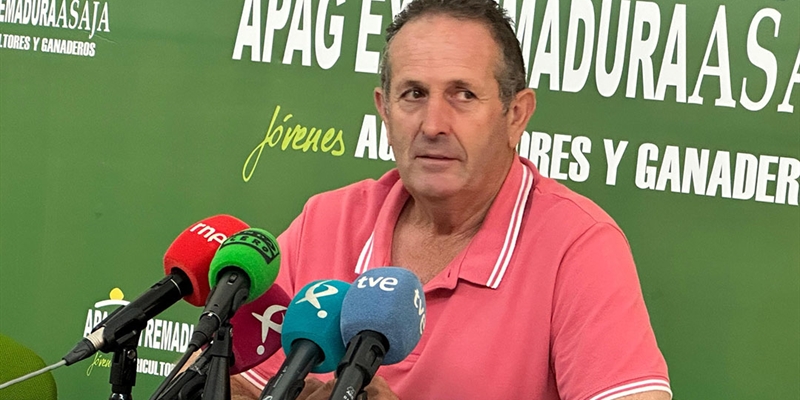 Asaja Extremadura cuantifica en ms de 5 millones de euros los daos a ganadera por los incendios