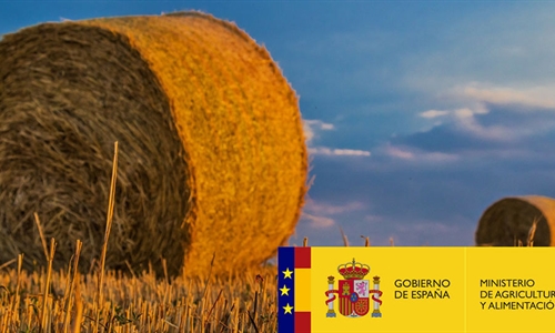 La Comisin Europea aprueba la modificacin del plan estratgico de la...
