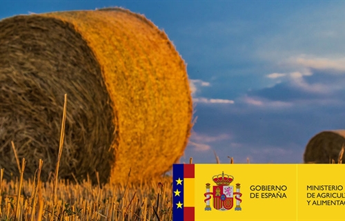 La Comisin Europea aprueba la modificacin del plan estratgico de la...