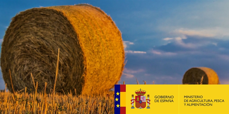 La Comisin Europea aprueba la modificacin del plan estratgico de la PAC propuesta por Espaa