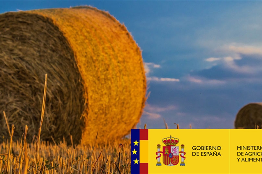 La Comisin Europea aprueba la modificacin del plan estratgico de la...