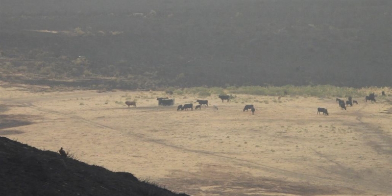 La ganadera es un pilar fundamental frente a los incendios y para mantener la vida en el medio rural