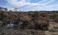 UPA pide medidas concretas y participar en el Pacto de Estado contra incendios