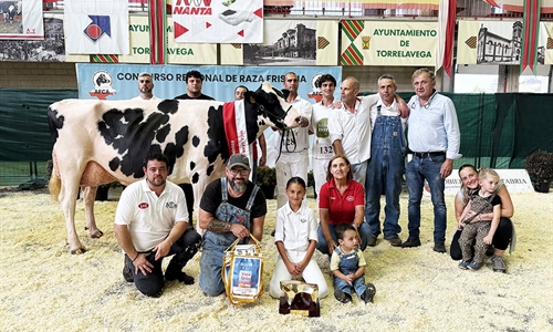 Cudaa Arenetes Dallas, Vaca Gran Campeona de Cantabria 2025