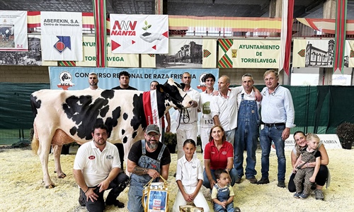 Cudaa Arenetes Dallas, Vaca Gran Campeona de Cantabria 2025