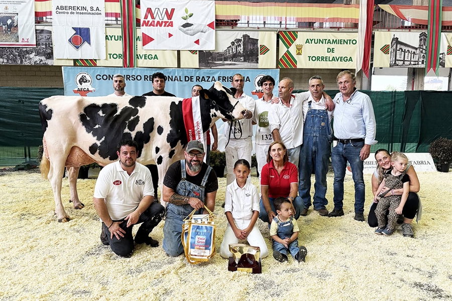 Cudaa Arenetes Dallas, Vaca Gran Campeona de Cantabria 2025