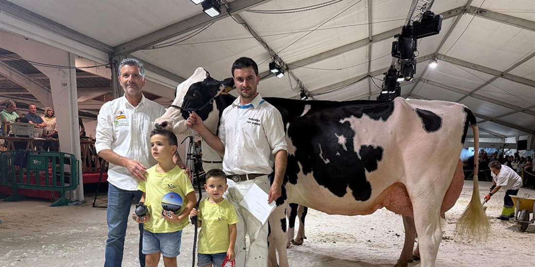 Venturo Delt Lambda Margarita (Ganader�a Venturo), Vaca Gran Campeona...