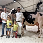 Venturo Delt Lambda Margarita (Ganadera Venturo), Vaca Gran Campeona de Tineo 2025