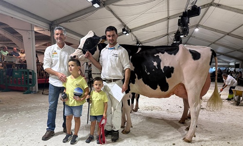 Venturo Delt Lambda Margarita (Ganadera Venturo), Vaca Gran Campeona...