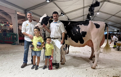 Venturo Delt Lambda Margarita (Ganadera Venturo), Vaca Gran Campeona...