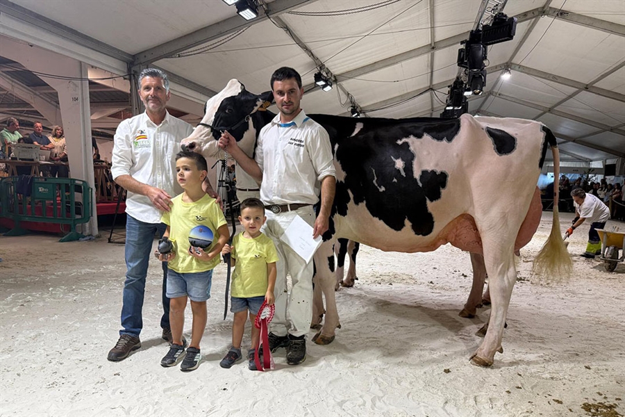 Venturo Delt Lambda Margarita (Ganadera Venturo), Vaca Gran Campeona...