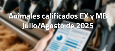 Animales calificados EX y MB en julio y agosto de 2025