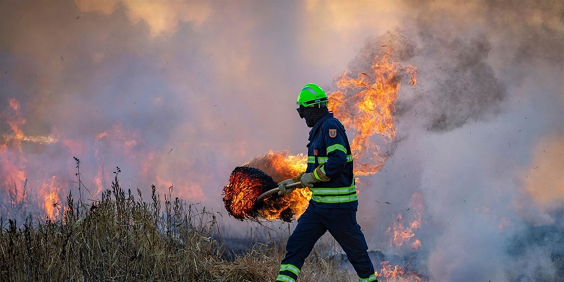 #RealidadGanadera: El papel de la ganader�a en la prevenci�n de...