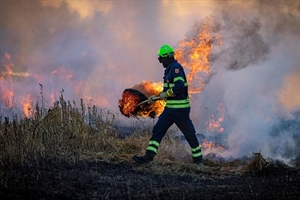 #RealidadGanadera: El papel de la ganadera en la prevencin de incendios forestales