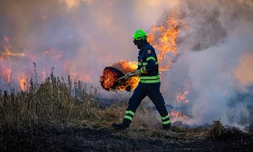 #RealidadGanadera: El papel de la ganadera en la prevencin de...