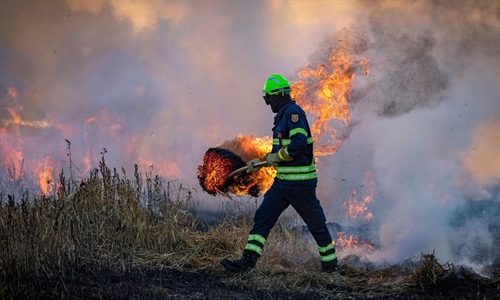 #RealidadGanadera: El papel de la ganadera en la prevencin de...