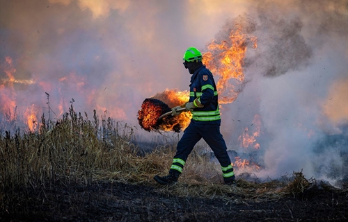 #RealidadGanadera: El papel de la ganadera en la prevencin de...