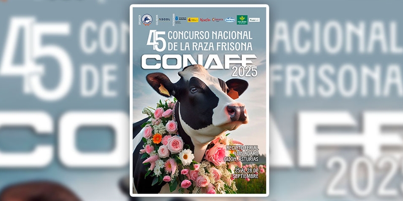 297 animales procedentes de 64 ganaderas se han inscrito al 45 Concurso Nacional de la Raza Frisona CONAFE 2025
