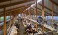 DeLaval ampla Hamra Farm para mostrar las posibilidades de innovacin que ofrece la ganadera lechera moderna