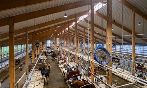 DeLaval ampla Hamra Farm para mostrar las posibilidades de innovacin...