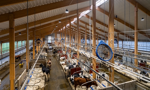 DeLaval ampla Hamra Farm para mostrar las posibilidades de innovacin...