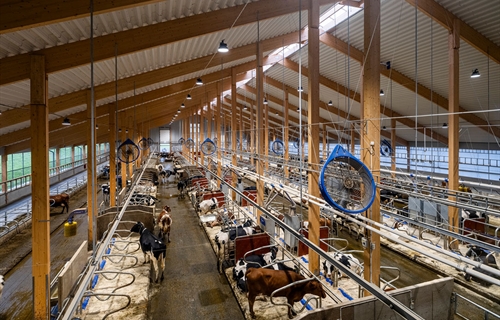 DeLaval ampla Hamra Farm para mostrar las posibilidades de innovacin...