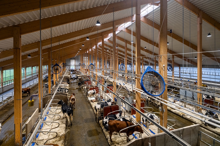DeLaval ampla Hamra Farm para mostrar las posibilidades de innovacin...