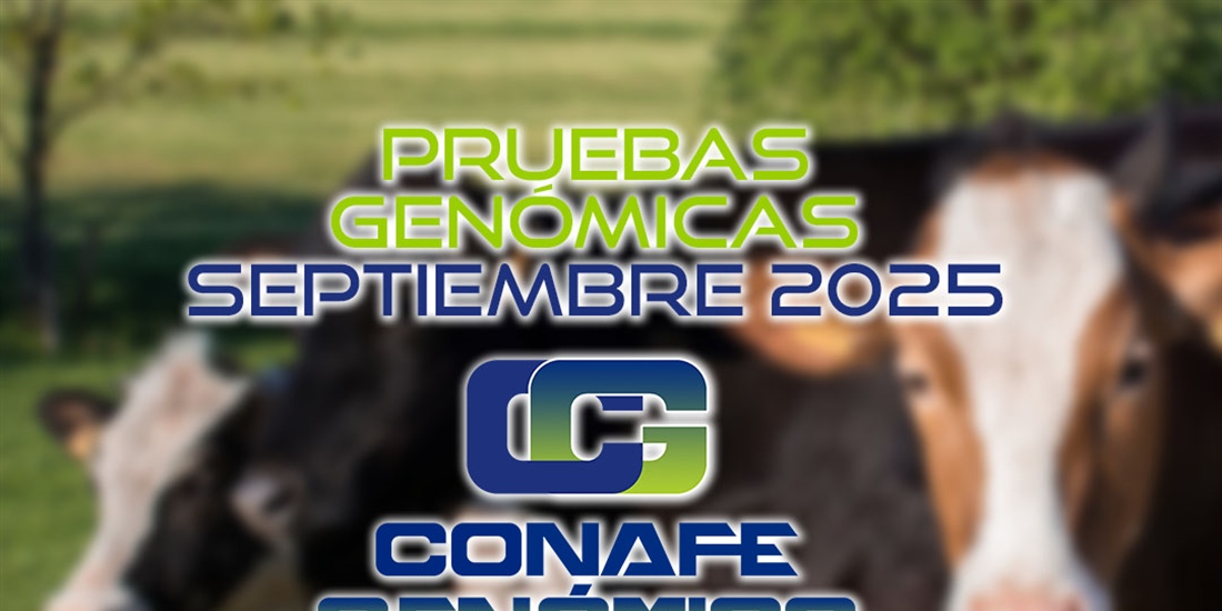 Actualizacin de las pruebas genmicas de Hembras CONAFE septiembre 2025