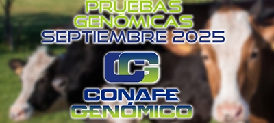Actualizacin de las pruebas genmicas de Hembras CONAFE septiembre 2025