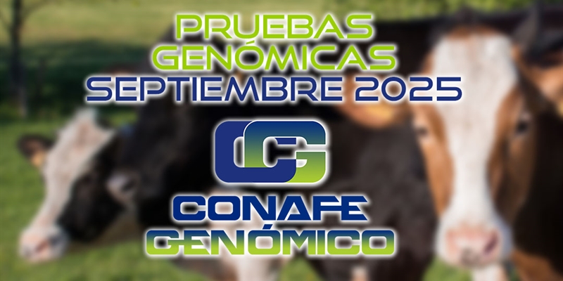 Actualizacin de las pruebas genmicas de Hembras CONAFE septiembre 2025