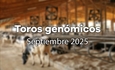 Nuevos toros genmicos con Prueba Oficial: Evaluacin genmica septiembre 2025