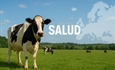 #RealidadGanadera: Una visin estratgica para el futuro de la salud animal en Europa