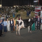 Agropec, marco del 45 Concurso Nacional de la Raza Frisona de CONAFE, inaugura su edicin 2025