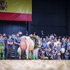 Venturo Happen Rosani (Casa Venturo) gana para Asturias el Concurso Nacional de Raza Frisona 2025