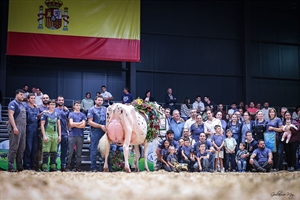 Venturo Happen Rosani (Casa Venturo) gana para Asturias el Concurso Nacional de Raza Frisona 2025