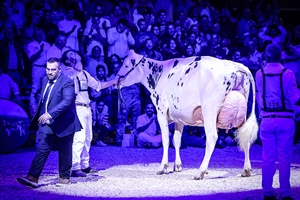 Venturo Happen Rosani (Casa Venturo) gana para Asturias el Concurso Nacional de Raza Frisona 2025