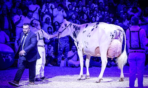 Venturo Happen Rosani (Casa Venturo) gana para Asturias el Concurso...